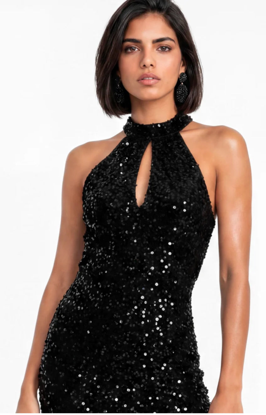 Maya Deluxe Velvet Embellished Halterneck Midi Dress