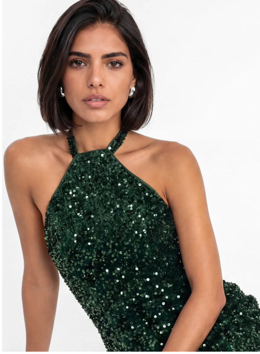 Maya Deluxe Velvet Embellished Halterneck Maxi Dress