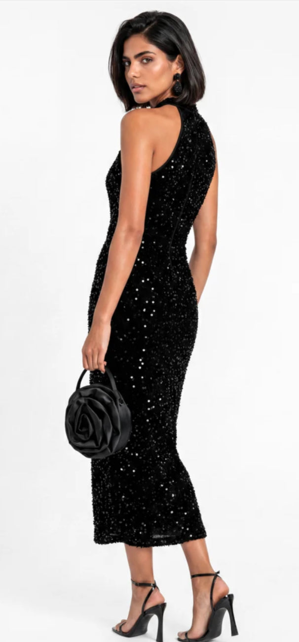 Maya Deluxe Velvet Embellished Halterneck Midi Dress