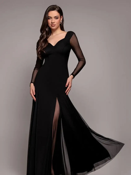 Goddiva Dobby Mesh Long Sleeve A-Line Maxi Dress