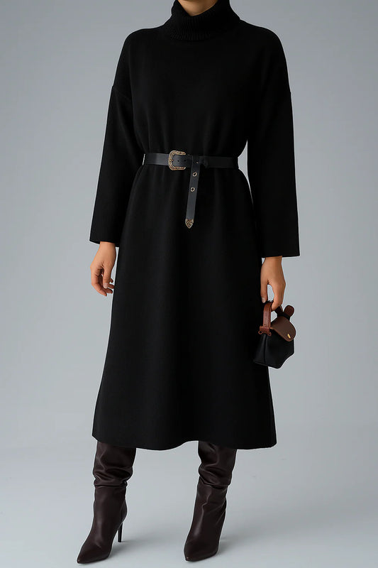 Roll Neck Relaxed Knit Dress